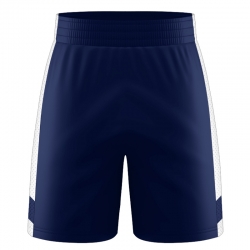 3-Inch Panel Shorts