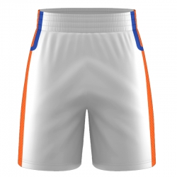 3-Inch Panel Shorts