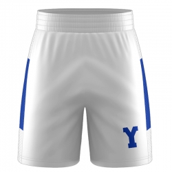 3-Inch Panel Shorts